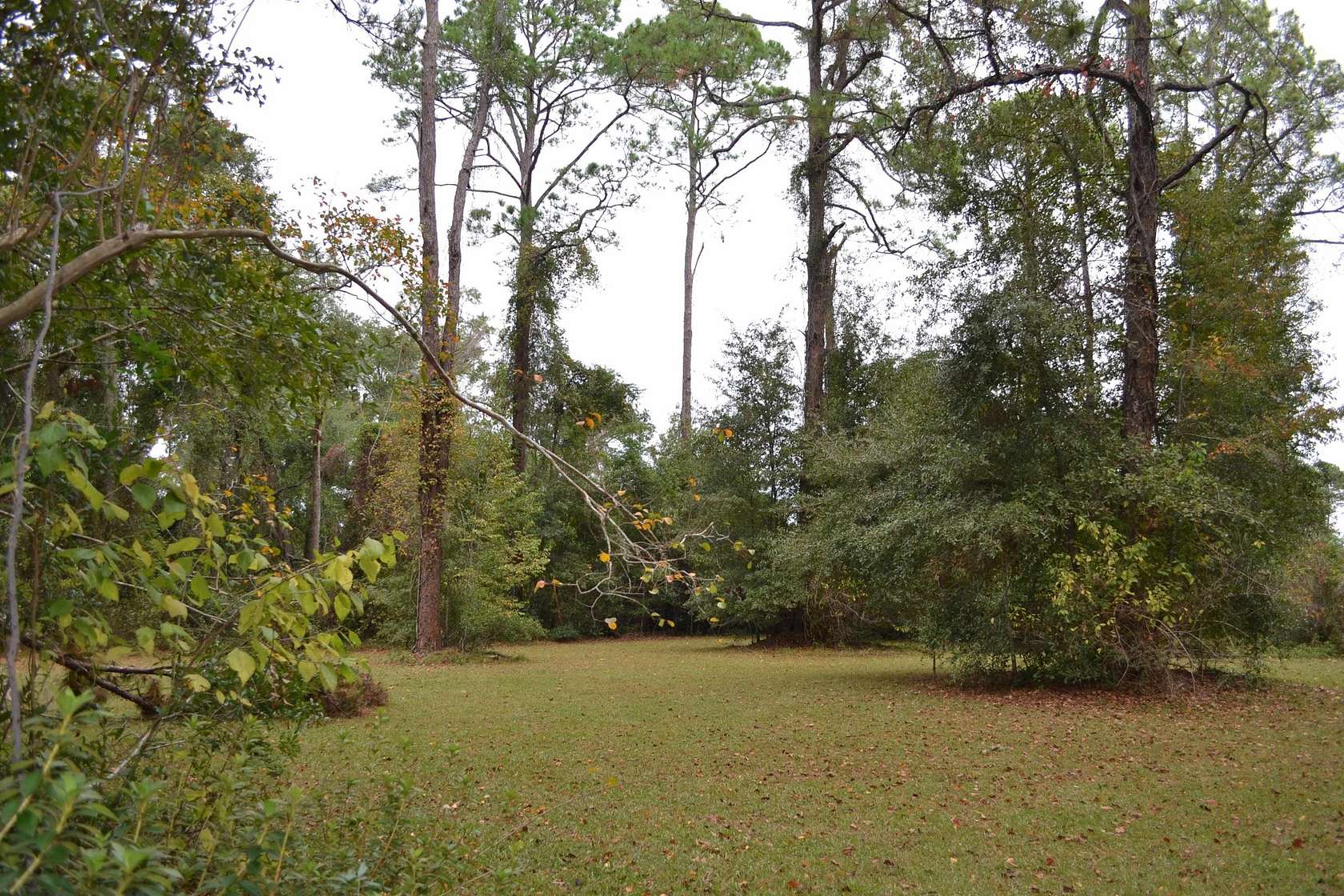 0.66 Acres of Residential Land for Sale in Tallahassee, Florida