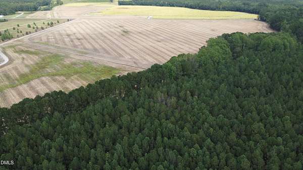 210 Acres of Land for Auction in Bunnlevel, North Carolina