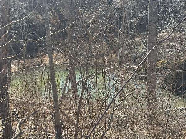 8.49 Acres of Land for Auction in Sunbright, Tennessee