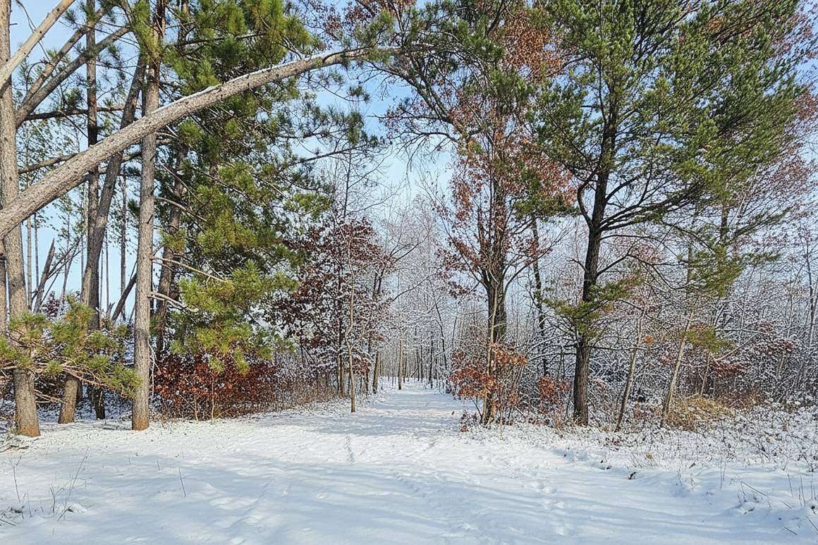 5 Acres of Land for Sale in Webster, Wisconsin