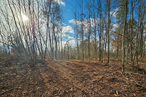 5 Acres of Land for Sale in Webster, Wisconsin