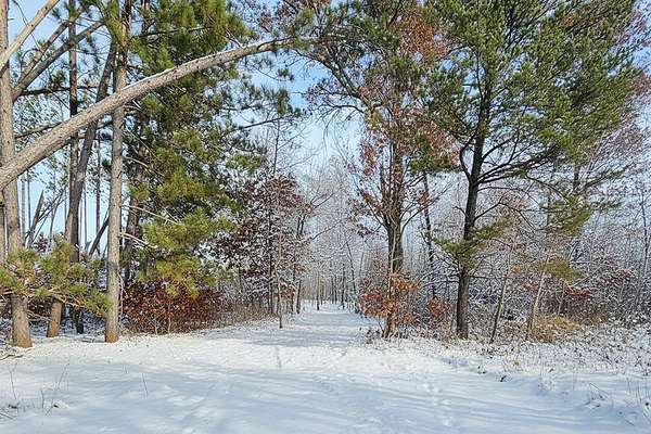 5 Acres of Land for Sale in Webster, Wisconsin