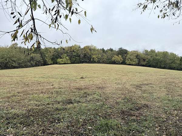 10.6 Acres of Land for Auction in Alexandria, Tennessee