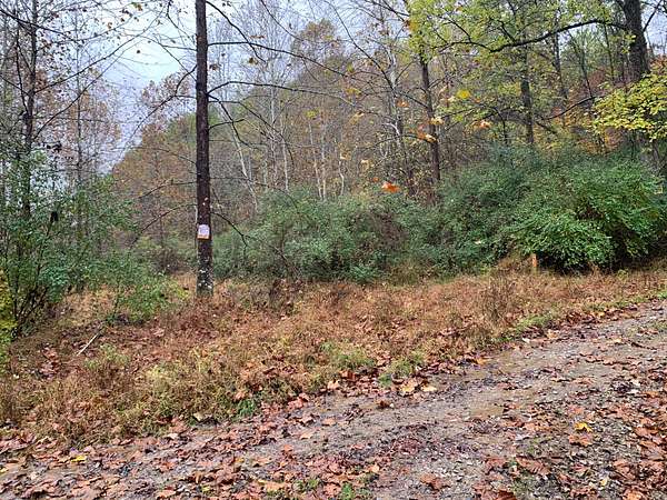 166 Acres of Recreational Land for Sale in New Milton, West Virginia