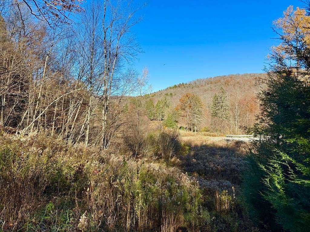 9.76 Acres of Residential Land for Sale in Blossburg, Pennsylvania