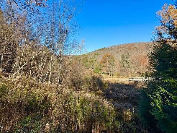 9.76 Acres of Residential Land for Sale in Blossburg, Pennsylvania