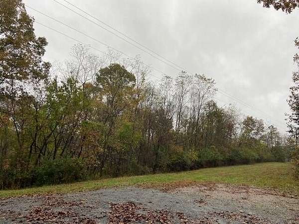 21 Acres of Recreational Land for Sale in Brooksville, Kentucky