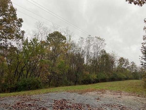 21 Acres of Recreational Land for Sale in Brooksville, Kentucky