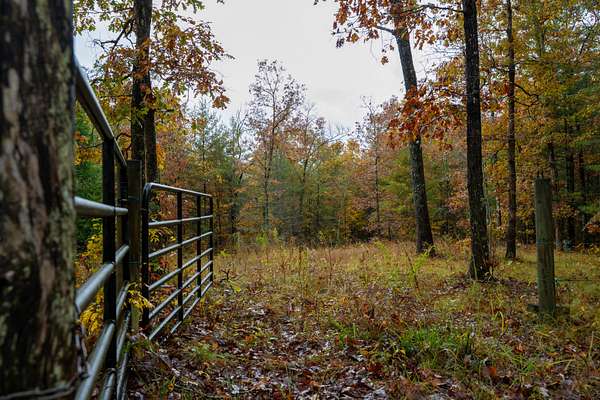 4.63 Acres of Agricultural Land for Sale in Jamestown, Tennessee