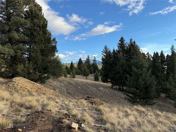 4 Acres of Land for Sale in Philipsburg, Montana