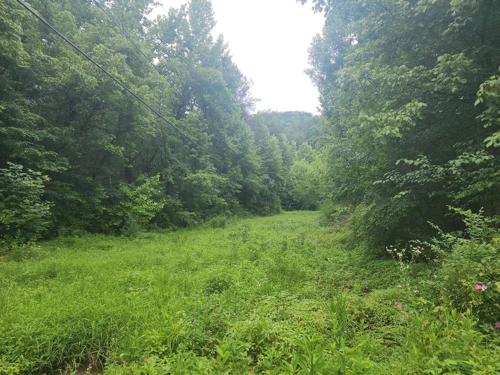27 Acres of Recreational Land for Sale in Sevierville, Tennessee