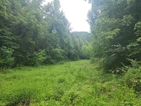 27 Acres of Recreational & Residential Land for Sale in Sevierville, Tennessee
