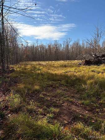 9.8 Acres of Land for Sale in Ontonagon, Michigan