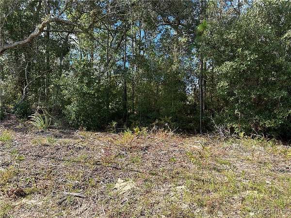 0.23 Acres of Land for Sale in Citrus Springs, Florida
