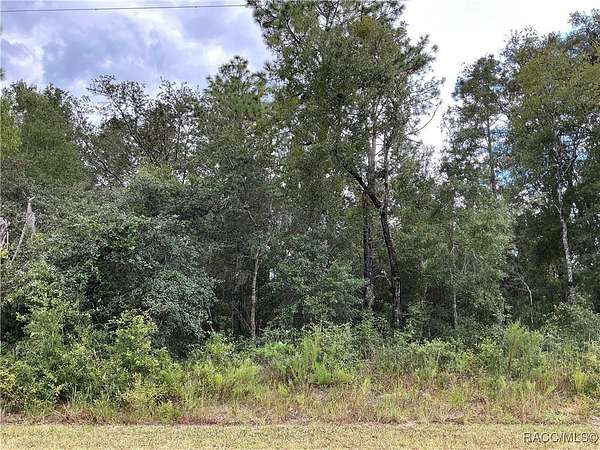 0.5 Acres of Residential Land for Sale in Inverness, Florida