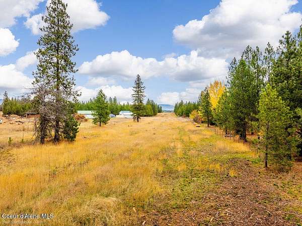 5 Acres of Residential Land for Sale in Athol, Idaho