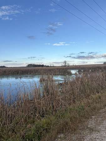 39.3 Acres of Recreational Land for Sale in Malone, Wisconsin