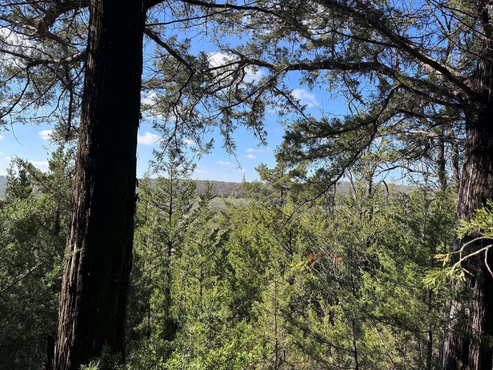 10 Acres of Recreational Land for Sale in Baldwin City, Kansas