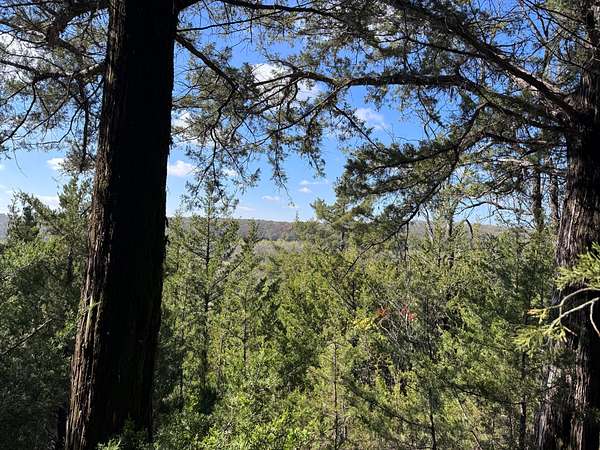 10 Acres of Recreational Land for Sale in Baldwin City, Kansas