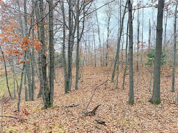 20 Acres of Recreational Land for Sale in Weyerhaeuser, Wisconsin