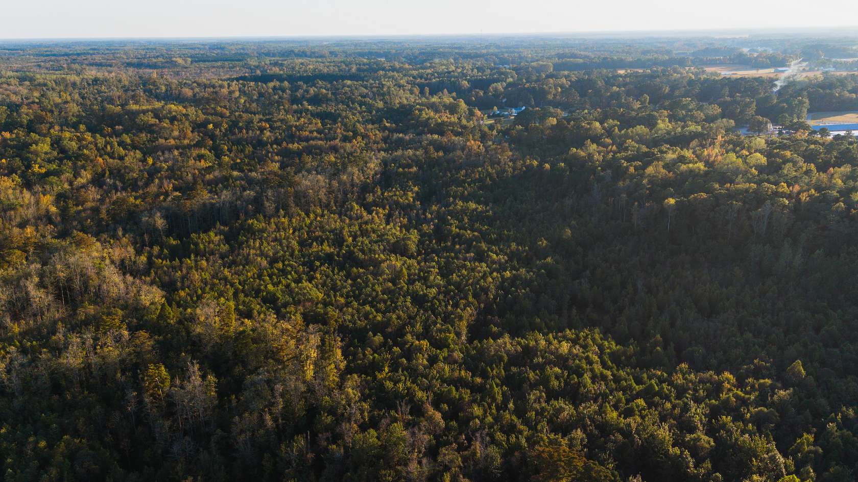 53 Acres of Recreational Land & Farm for Sale in Chocowinity, North Carolina