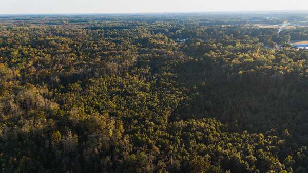 53 Acres of Recreational Land & Farm for Sale in Chocowinity, North Carolina