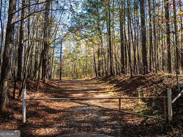 70 Acres of Recreational Land for Sale in Carlton, Georgia