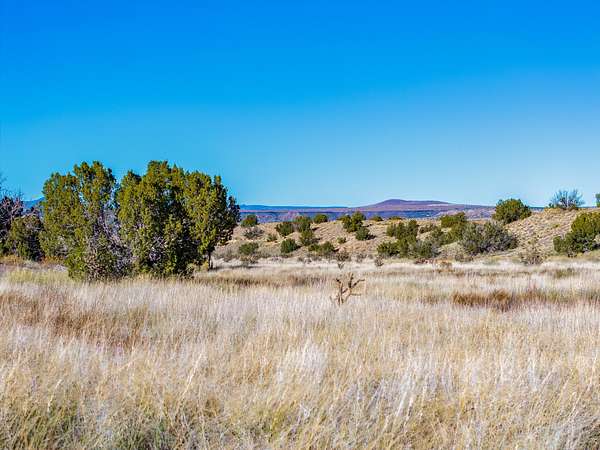 40 Acres of Recreational Land for Sale in Madrid, New Mexico