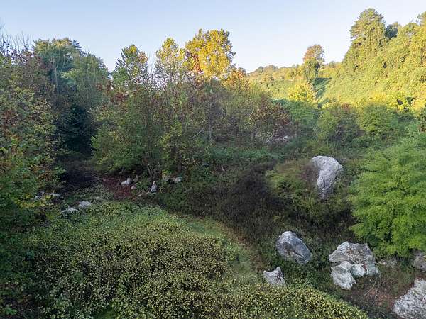 6.67 Acres of Land for Sale in Niota, Tennessee