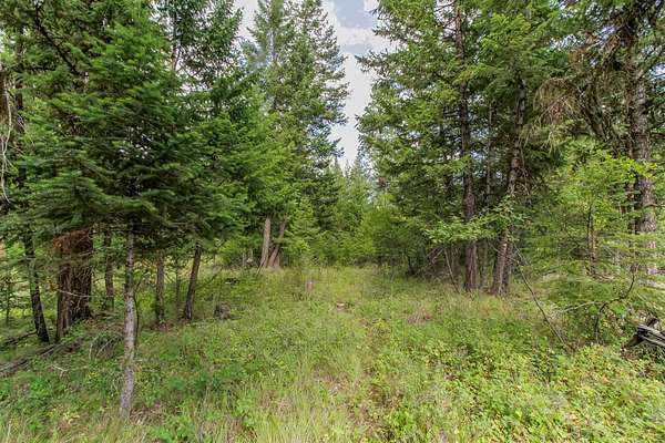 17.3 Acres of Recreational Land for Sale in Kila, Montana