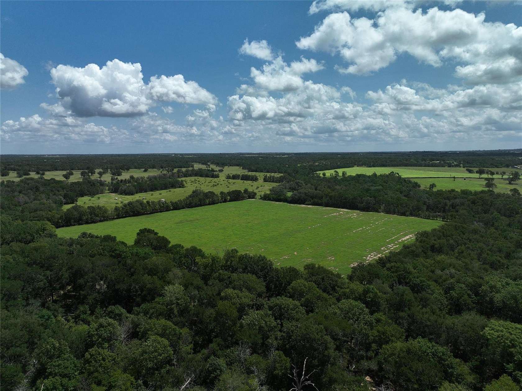 20 Acres of Recreational Land & Farm for Sale in Paige, Texas