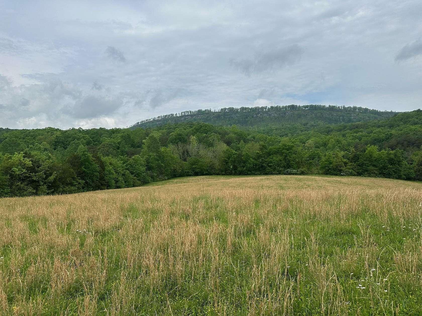 13 Acres of Land for Sale in Pikeville, Tennessee
