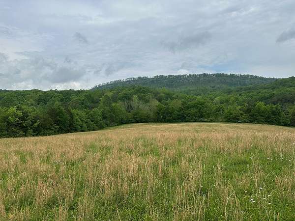 13 Acres of Land for Sale in Pikeville, Tennessee