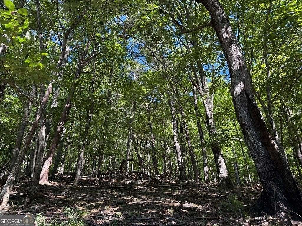 1 Acre of Residential Land for Sale in Jasper, Georgia