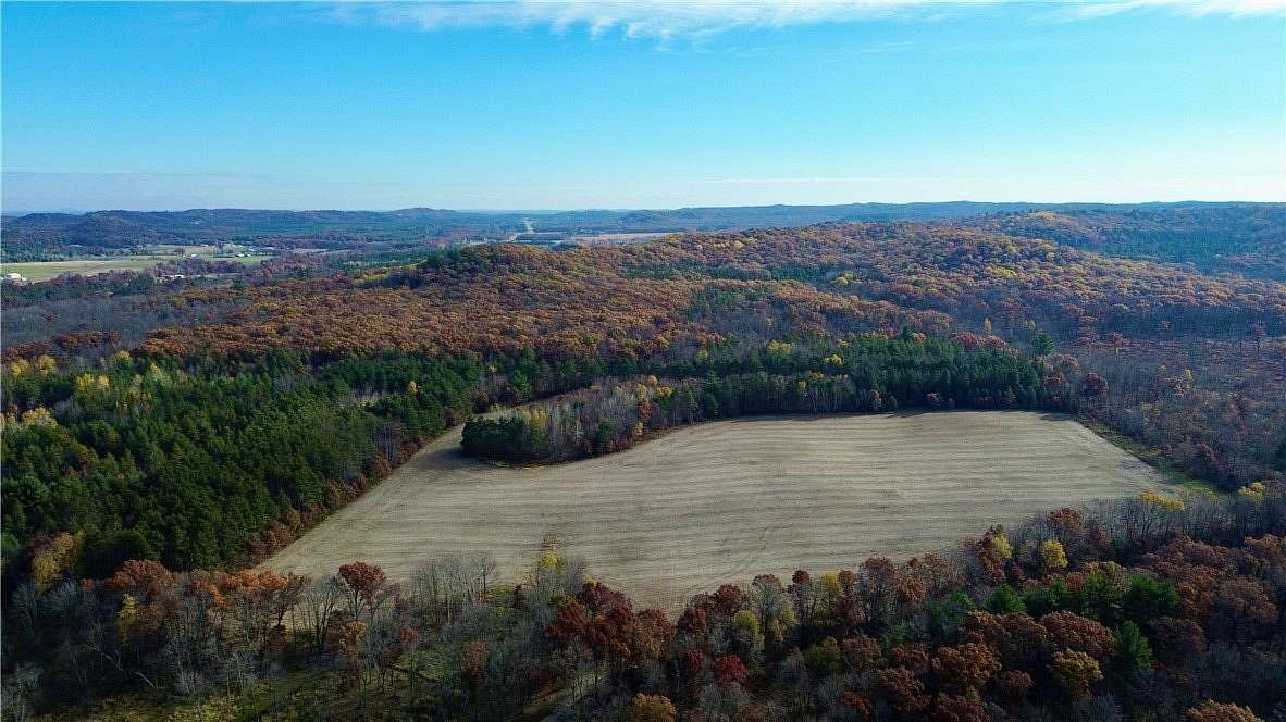 65.5 Acres of Land for Sale in Fairchild, Wisconsin