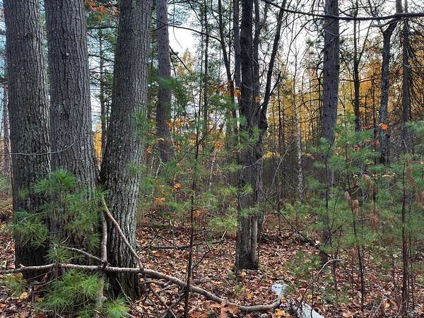 0.69 Acres of Residential Land for Sale in Lac du Flambeau, Wisconsin