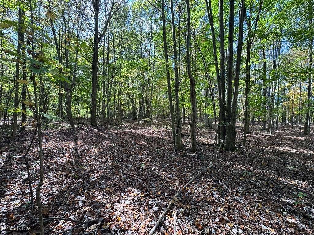 84 Acres of Land for Auction in Orwell, Ohio