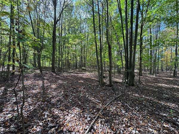 84 Acres of Land for Auction in Orwell, Ohio