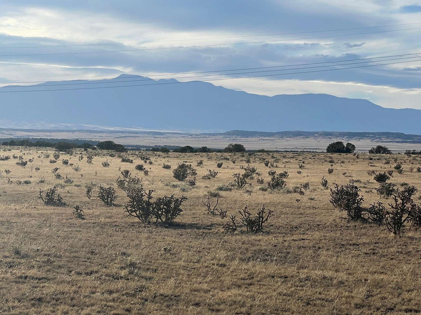 46 Acres of Land for Sale in Walsenburg, Colorado