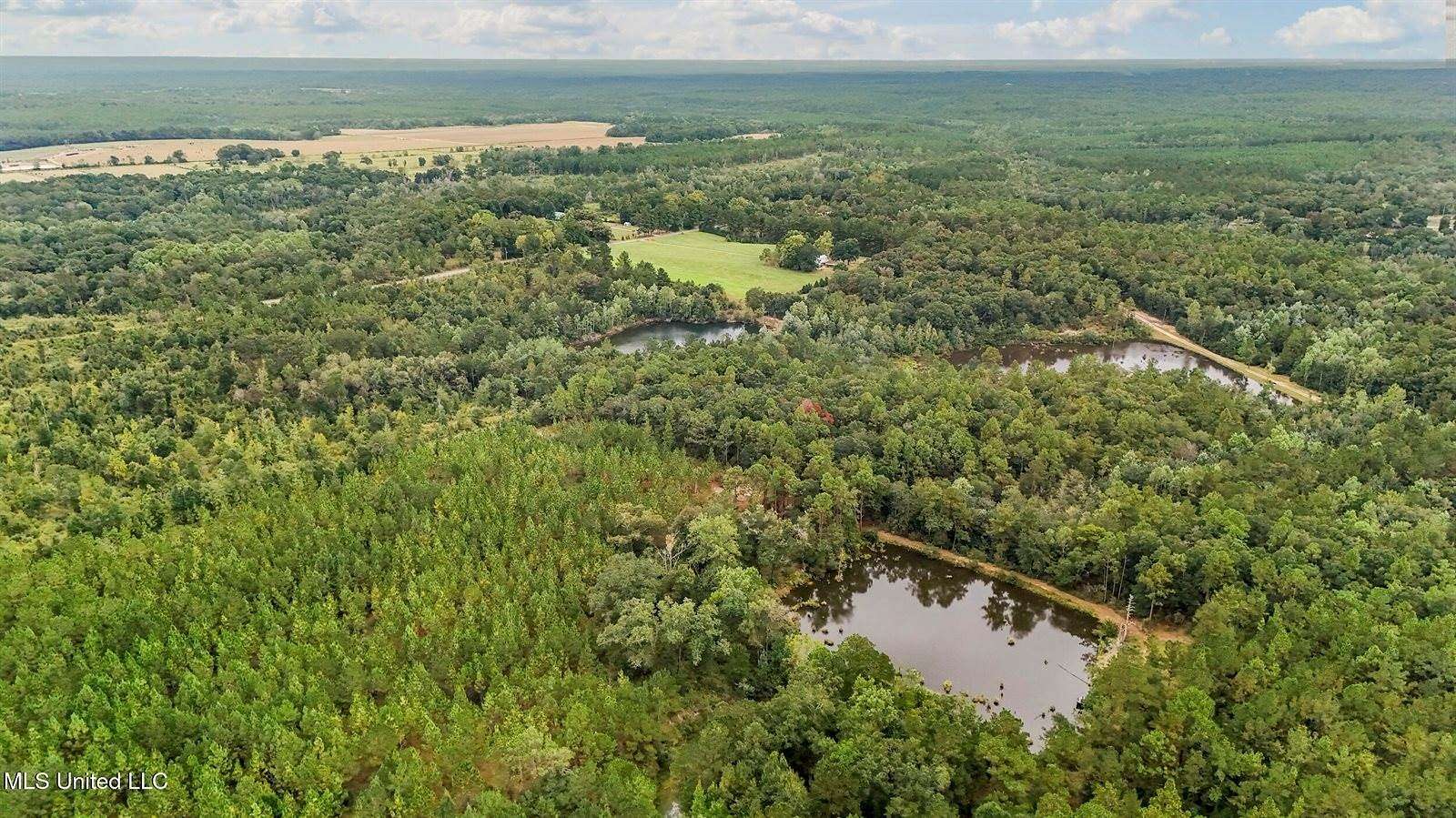 47.7 Acres of Land for Sale in Lucedale, Mississippi