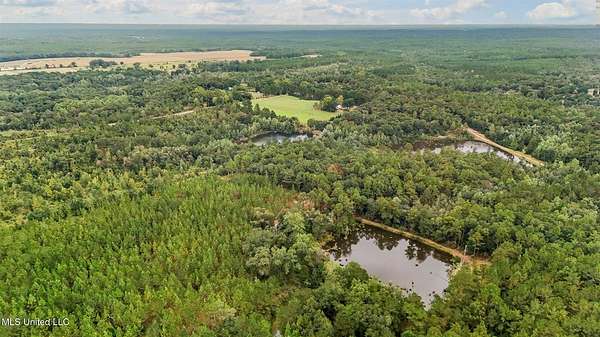 47.7 Acres of Land for Sale in Lucedale, Mississippi