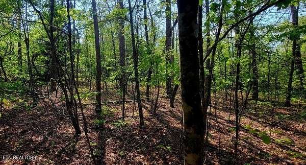 1.24 Acres of Residential Land for Sale in Monterey, Tennessee