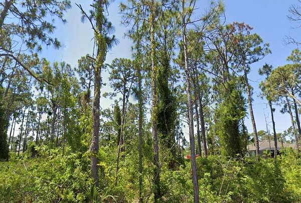 0.23 Acres of Residential Land for Sale in Port Charlotte, Florida