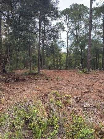 1.16 Acres of Land for Sale in Crystal River, Florida