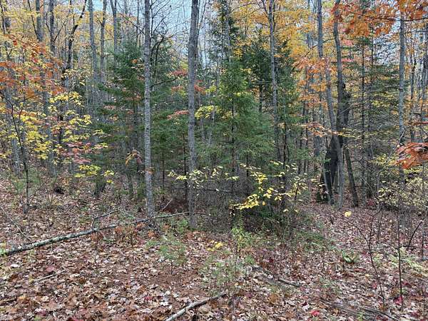 3.1 Acres of Residential Land for Sale in Winterport, Maine