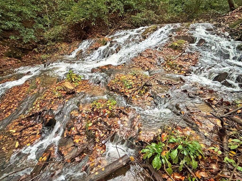 1.37 Acres of Residential Land for Sale in Blue Ridge, Georgia