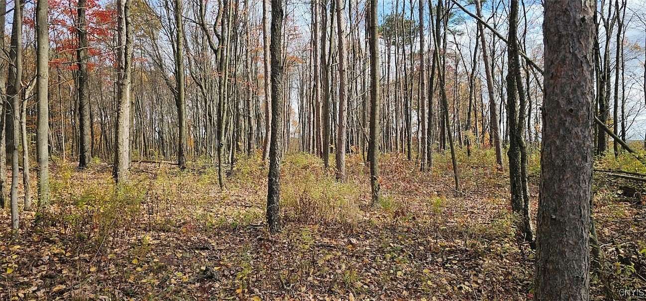 3 Acres of Residential Land for Sale in Owego, New York