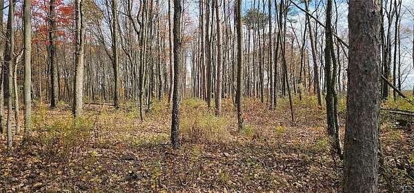 3 Acres of Residential Land for Sale in Owego, New York