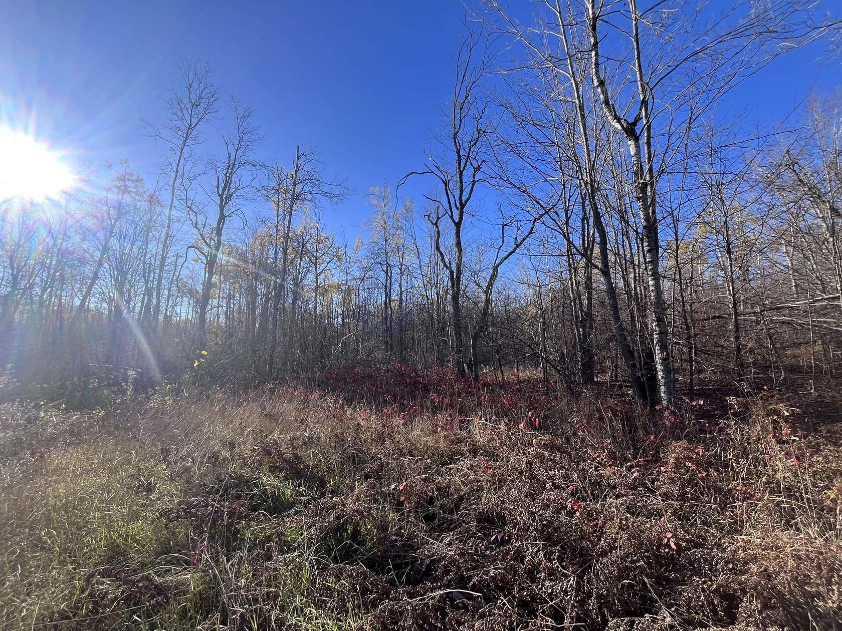 0.43 Acres of Land for Sale in Mancelona, Michigan