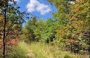 13 Acres of Recreational Land for Sale in Annapolis, Missouri